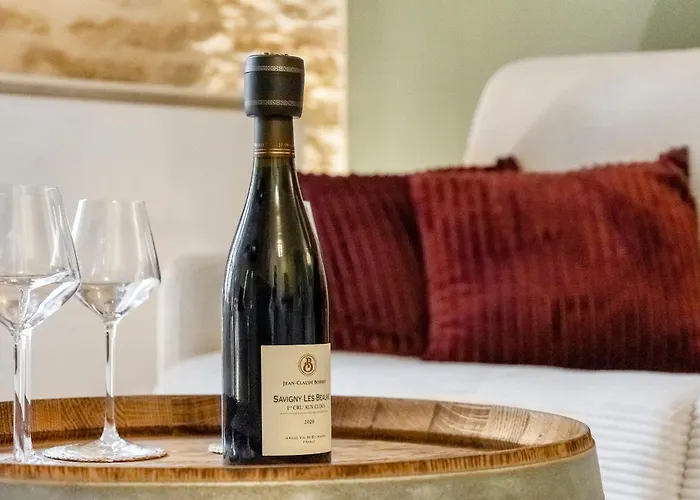 Oenosuite - Charme & Vin En Hyper-centre Daire *